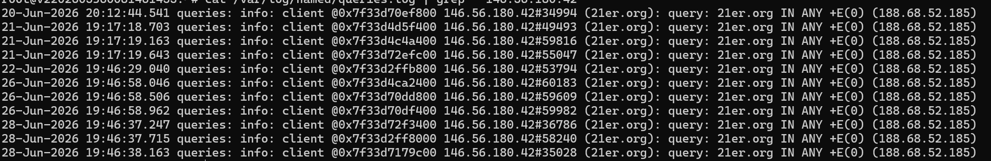 Example DNS server log from an unrelated DNS ANY amplification attack — same mechanic as what ohshit.mips generates, different query name